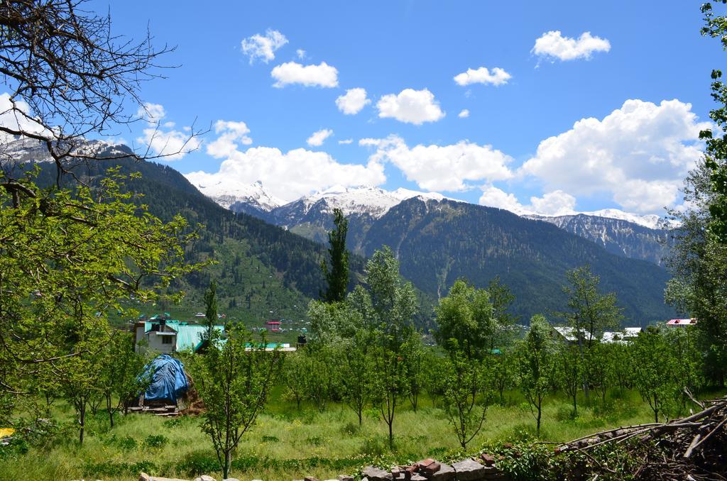 Gezellig Inn - Tree Hill Cottages & Kanyal Villas Manāli Екстериор снимка